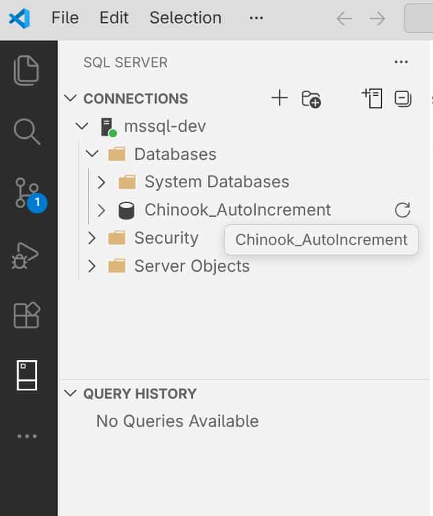 mssql vscode